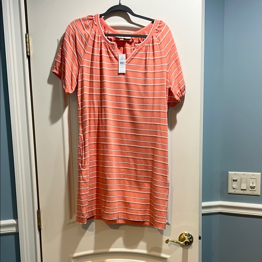 Loft Salmon Striped Dress